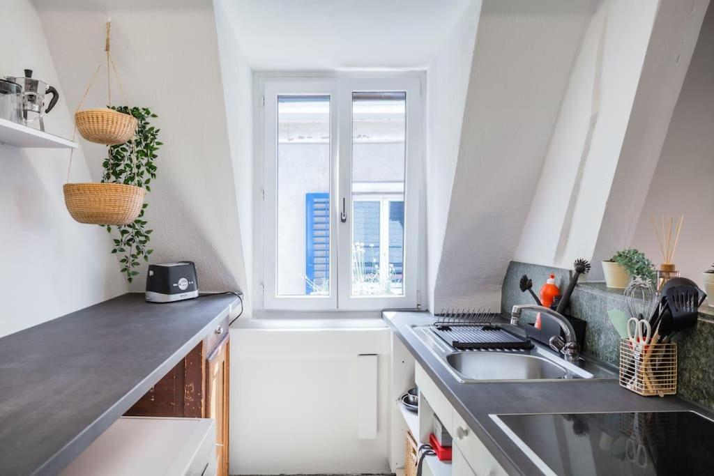 अपार्टमेंट In Mit Dachterrasse // Langstrasse